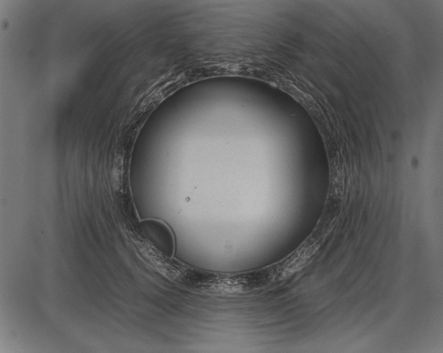 X0000086080656200704091302