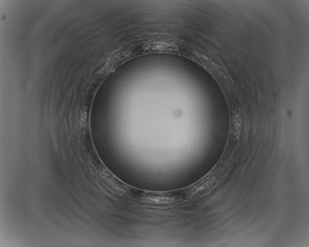 X0000086080657200704091302