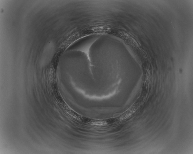 X0000086080659200704091302