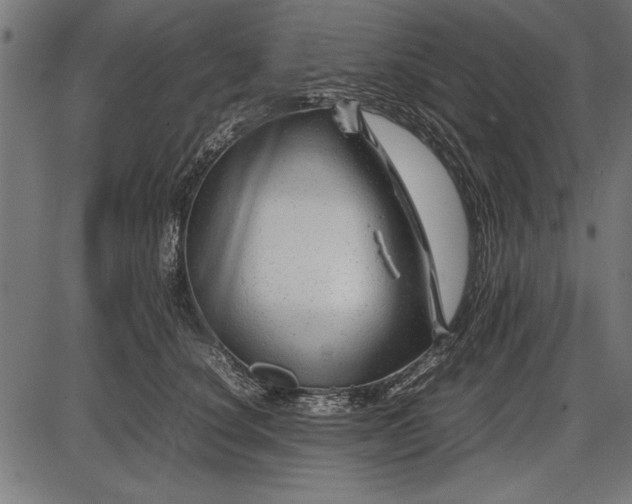 X0000086080660200704091302