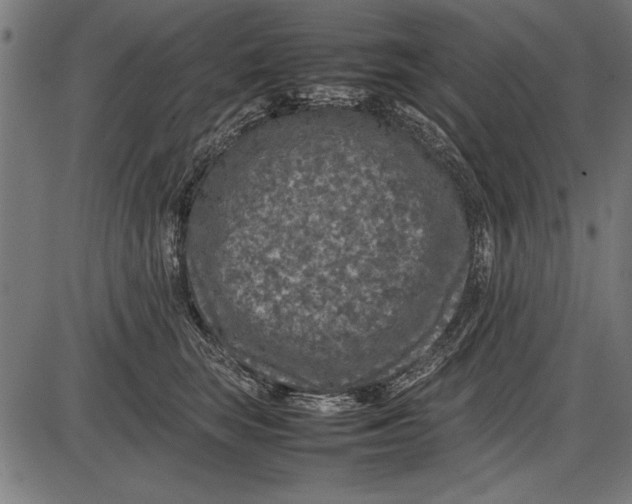 X0000086080663200704091302