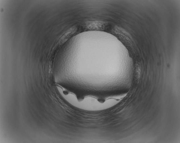 X0000086080665200704091302