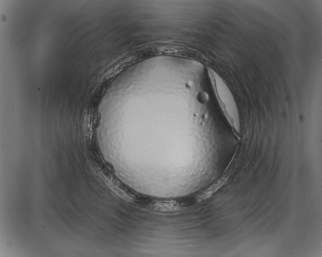 X0000086080666200704091302