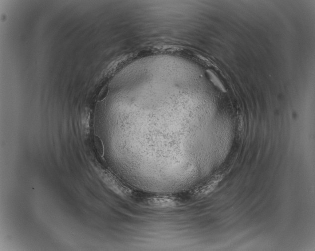 X0000086080668200704091302