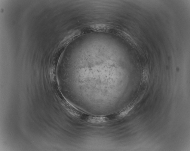 X0000086080671200704091302