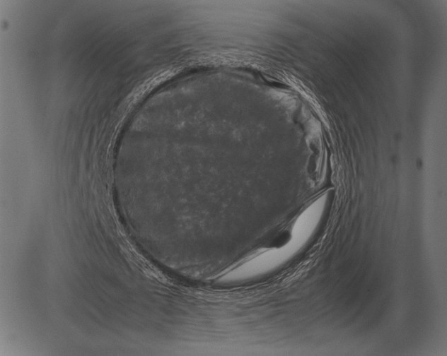 X0000086080673200704091302