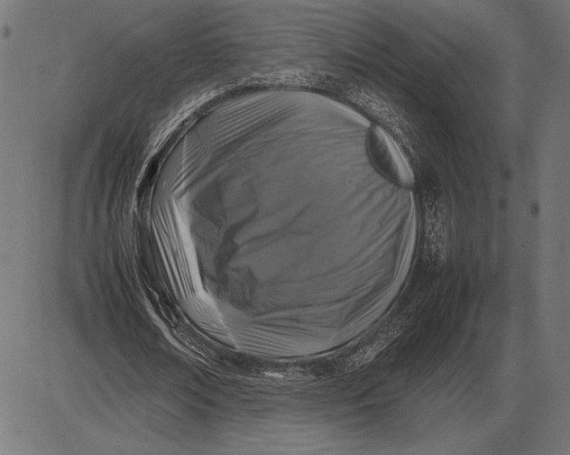 X0000086080674200704091302