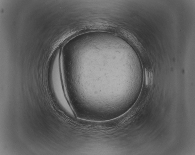 X0000086080675200704091302