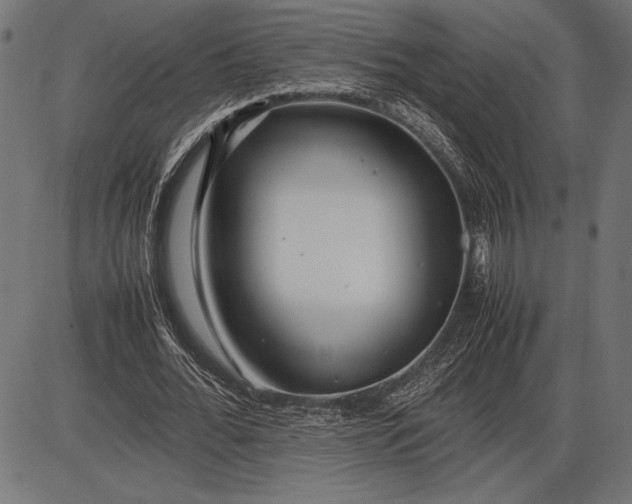 X0000086080676200704091302