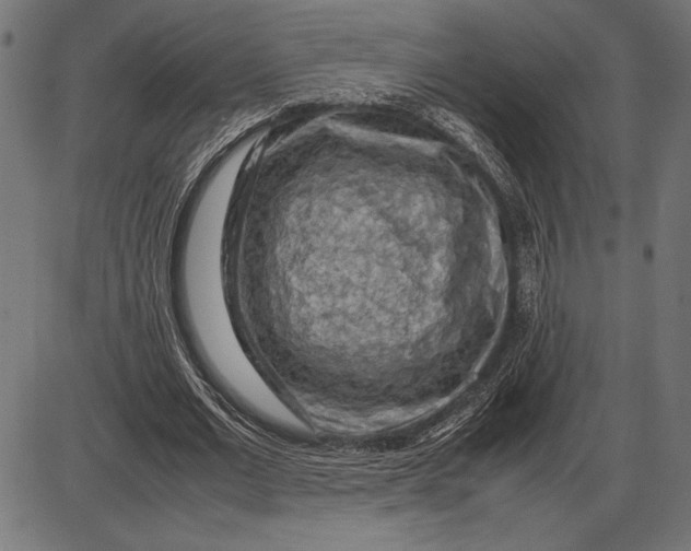 X0000086080677200704091302