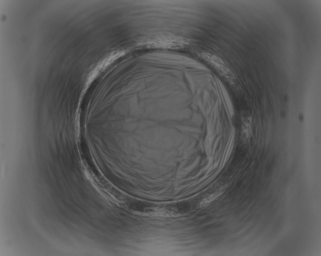 X0000086080678200704091302