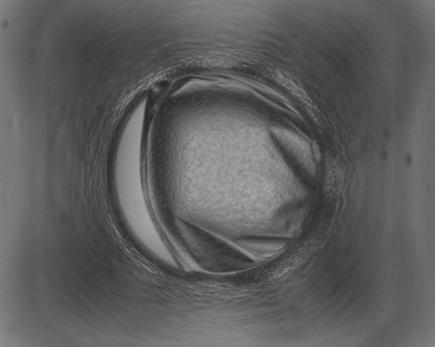 X0000086080681200704091301