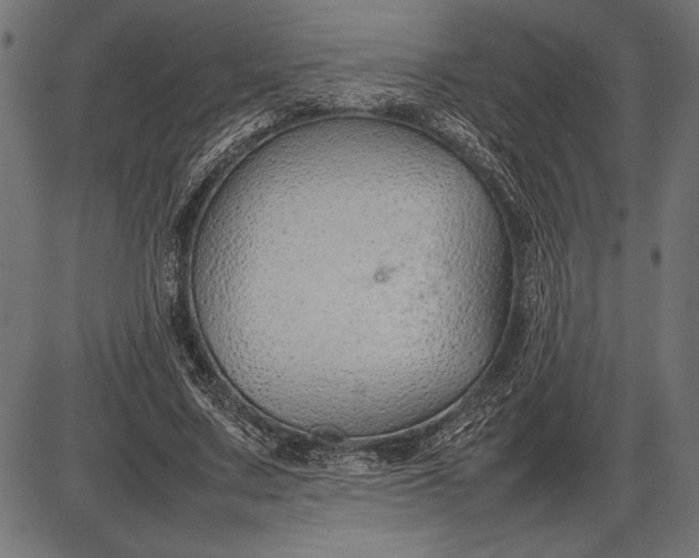 X0000086080683200704091301