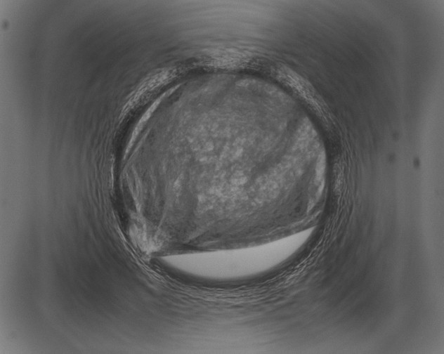 X0000086080685200704091301