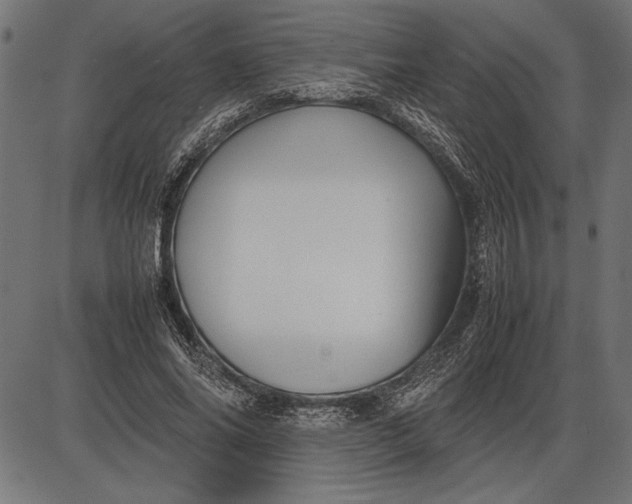 X0000086080686200704091301