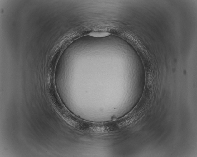 X0000086080687200704091301