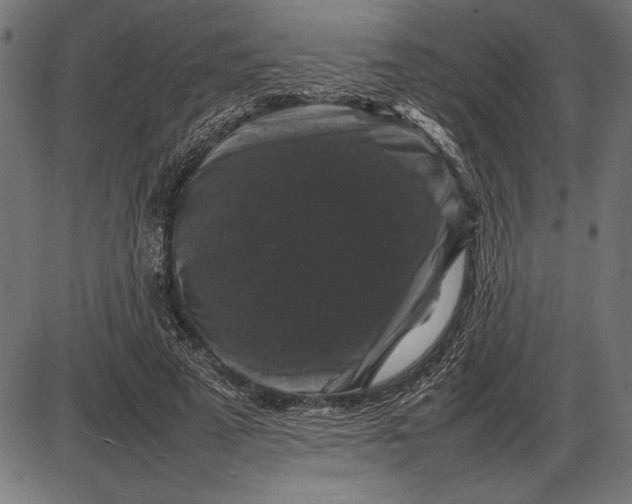 X0000086080689200704091301