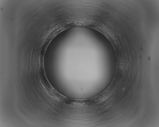 X0000086080690200704091301