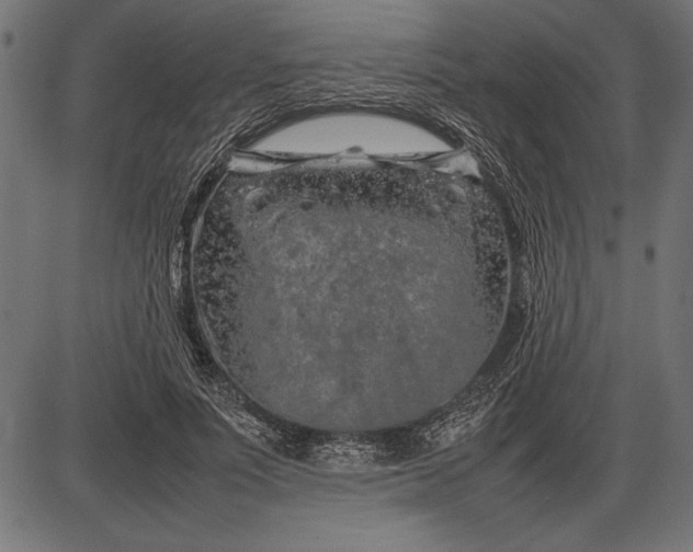 X0000086080691200704091301