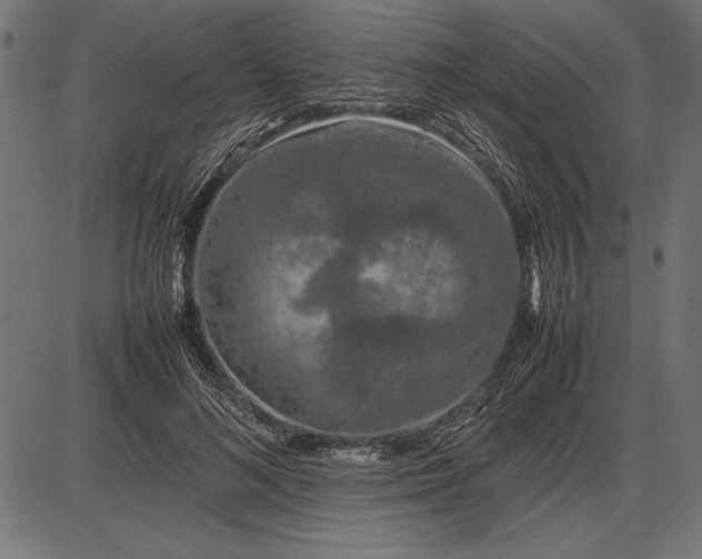 X0000086080692200704091301