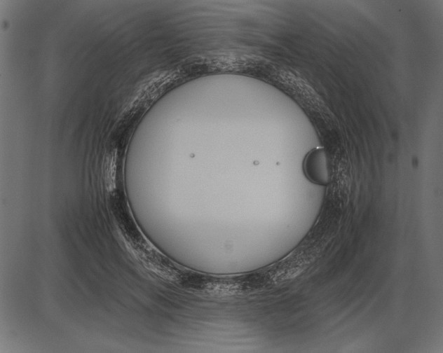 X0000086080694200704091301