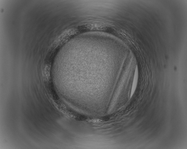 X0000086080695200704091301