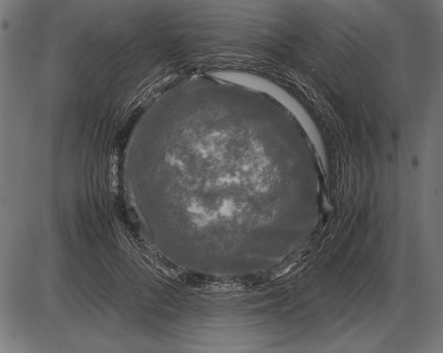 X0000086080696200704091301