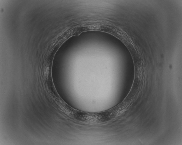 X0000086080697200704091301