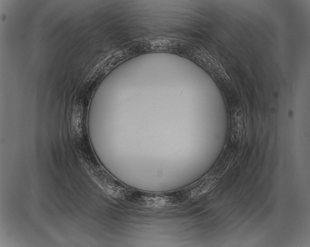 X0000086080698200704091301