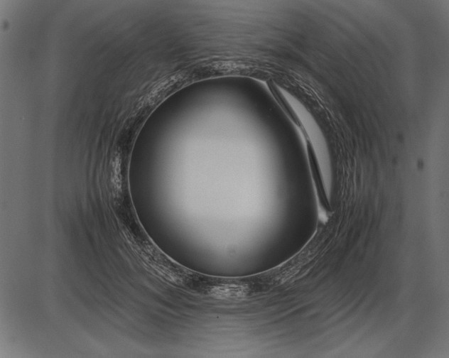 X0000086080700200704091301