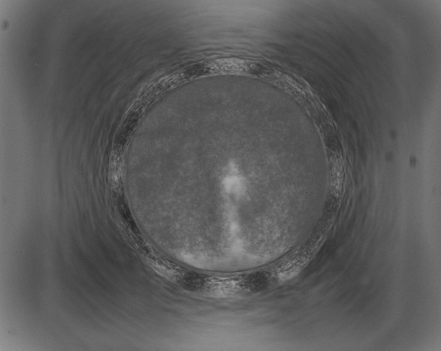 X0000086080701200704091301