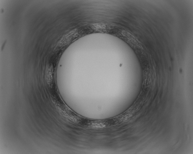 X0000086080702200704091301