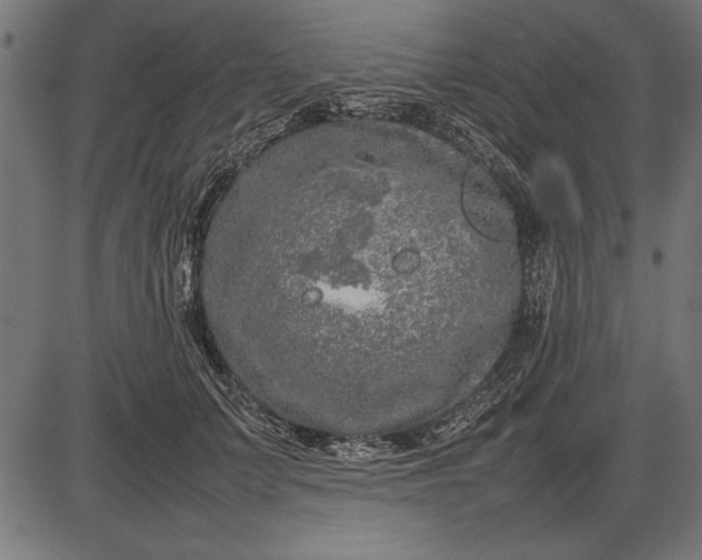 X0000086080703200704091301