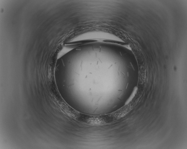 X0000086080704200704091301