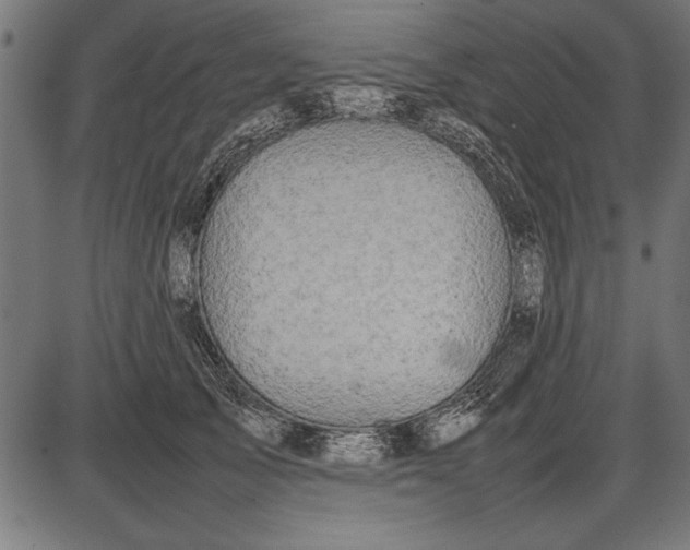 X0000086080705200704091301