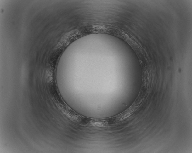 X0000086080706200704091301