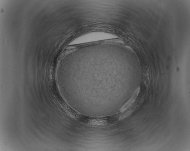 X0000086080708200704091301