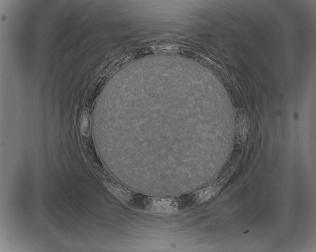 X0000086080709200704091301