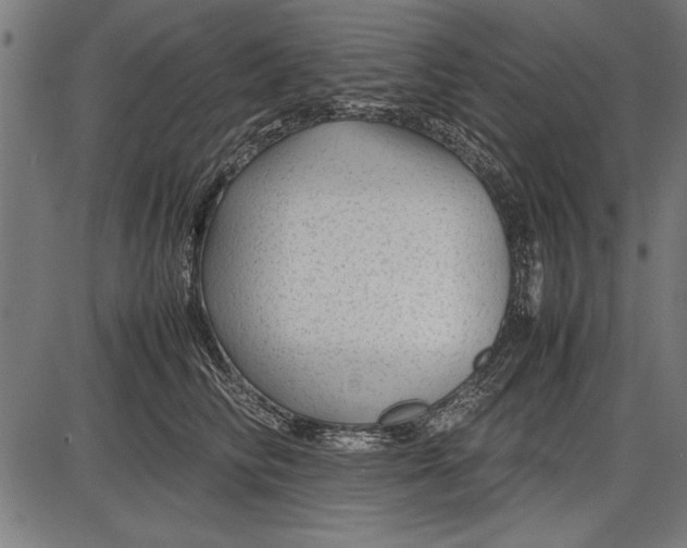 X0000086080710200704091301