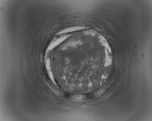 X0000086080711200704091301