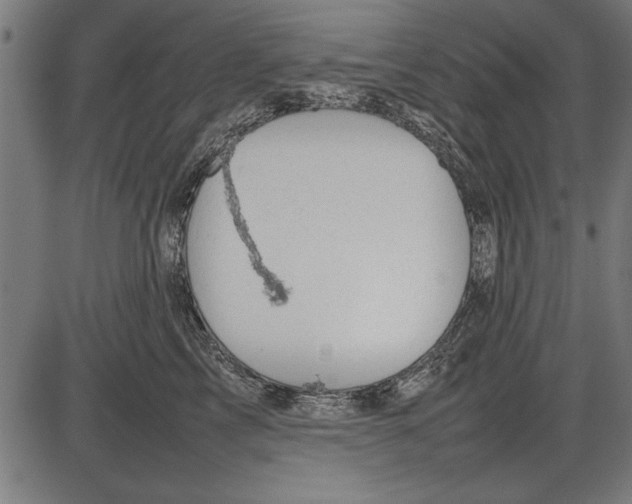 X0000086080713200704091301