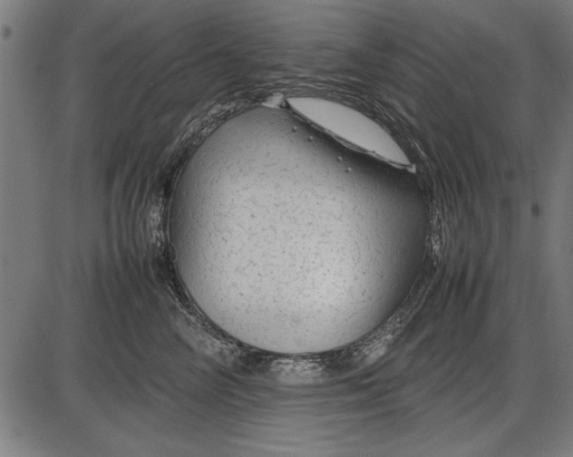 X0000086080714200704091301