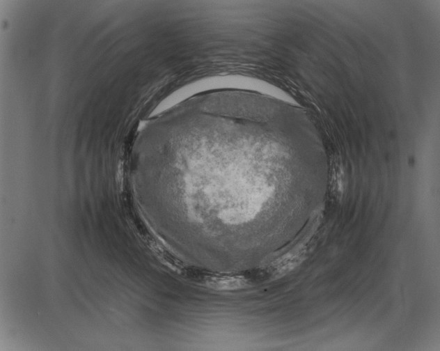 X0000086080716200704091301