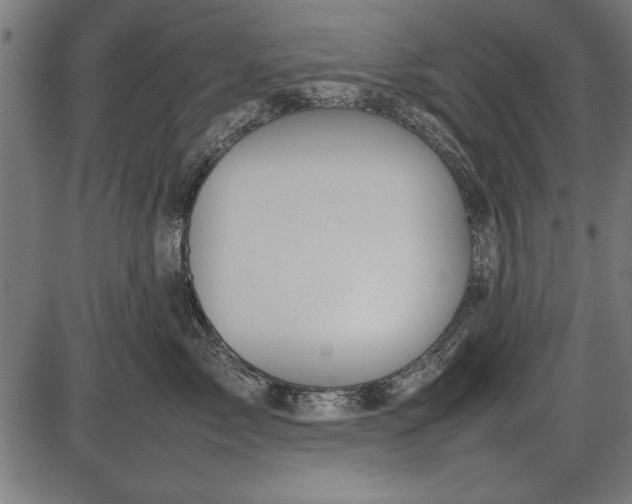 X0000086080717200704091301