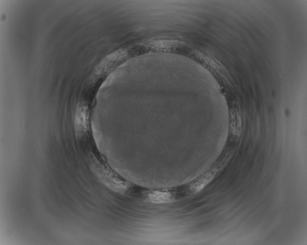 X0000086080718200704091301