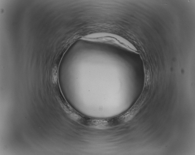 X0000086080719200704091301