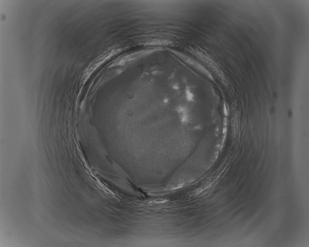 X0000086080721200704091300