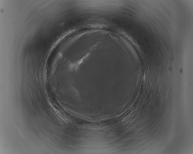 X0000086080722200704091300