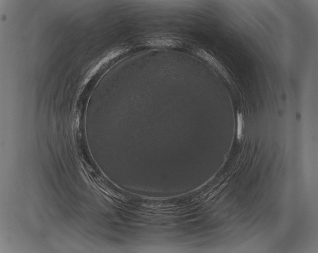 X0000086080723200704091300