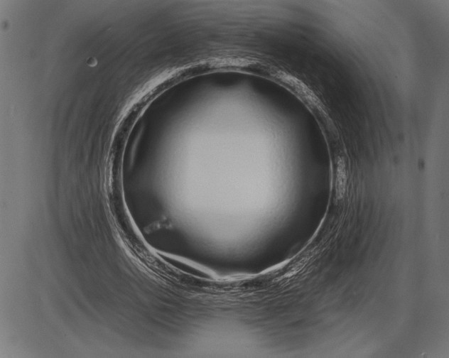 X0000086080726200704091300